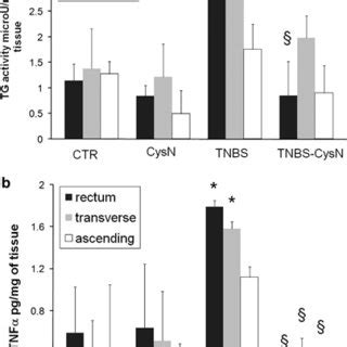 Transglutaminase TG activity a and tumor necrosis factor α levels