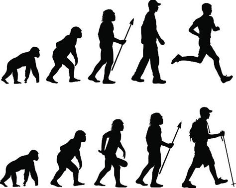 Royalty Free Human Evolution Clip Art, Vector Images & Illustrations ...