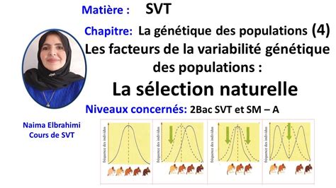 Cours SVT Bac Biof génétique des populations 4 facteurs de