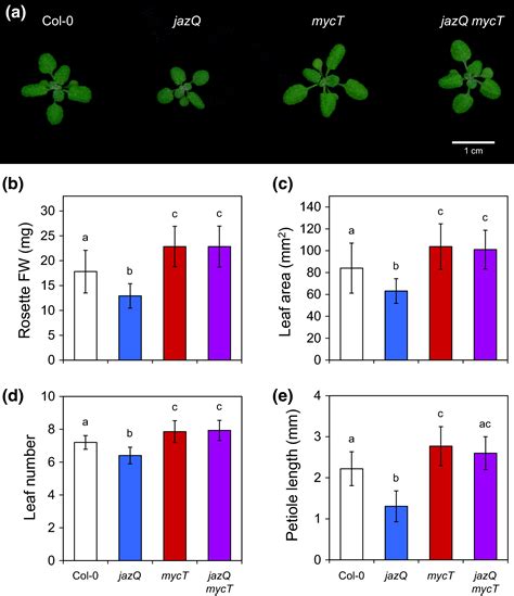 Regulation Of Growthdefense Balance By The Jasmonate Zim‐domain Jaz‐myc Transcriptional