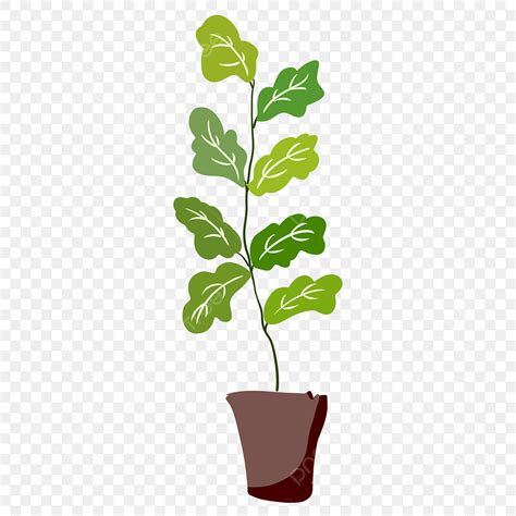 Beautiful Plant White Transparent Beautiful Green Plant Illustration