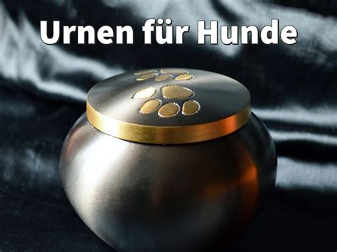 Urnen F R Hunde W Rde Und Liebevoll Statt G Nstig Und Schnell