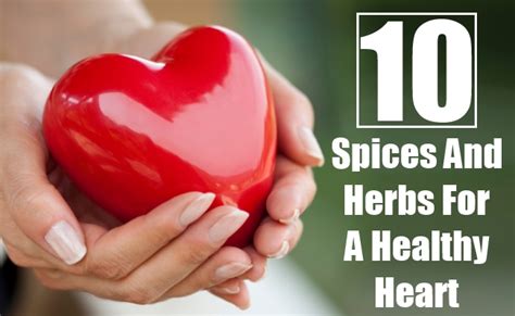 Top 10 Spices And Herbs For A Healthy Heart Find Home Remedy