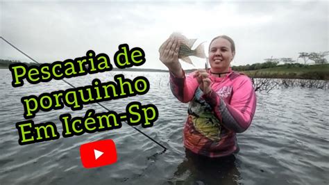 PESCARIA DE PORQUINHO EM ICÉM SP YouTube