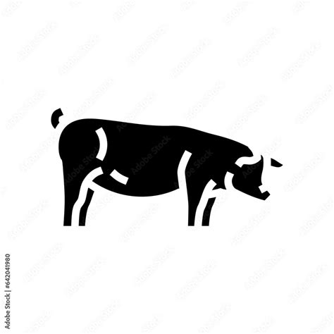 Berkshire Pig Breed Glyph Icon Vector Berkshire Pig Breed Sign