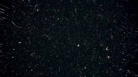 White Dust Particles Storm - Stock Motion Graphics | Motion Array