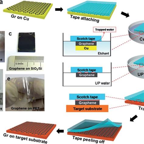 A Schematic Representation Of Transferring Graphene From Copper Foil