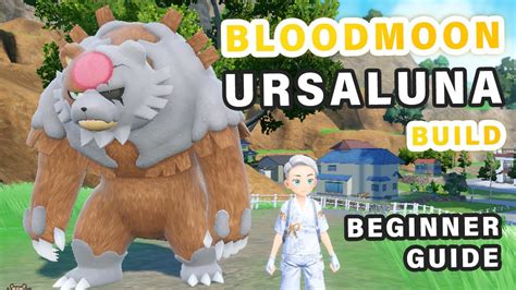 Beginner Guide On How To Build Bloodmoon Ursaluna Pokemon Scarlet