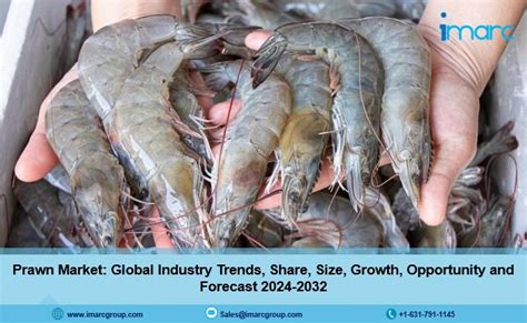 Prawn Market Report 2024 2032 Industry Trends Segmentation