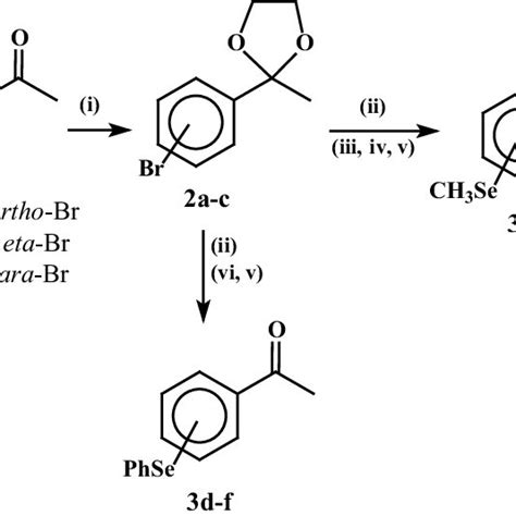 Scheme 2 Reagents And Conditions I C 6 H 6 P Tsoh Ethylene Download Scientific Diagram