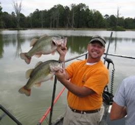 Threadfin Shad Owen Williams Fish Farm