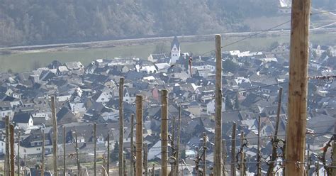 winningen discover   museums exhibitions discounts