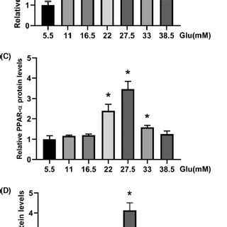 A Western Blot Analysis Of Sirt Ppar Enos And Inos Expression In