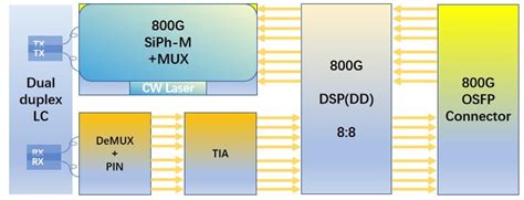 800g Optical Modules Everything You Need To Know In This Article