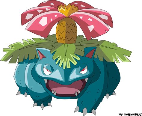 Venusaur Clip Artwork Image Free Png