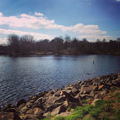 Dog Walk At Daventry Country Park · Northamptonshire · Walkiees