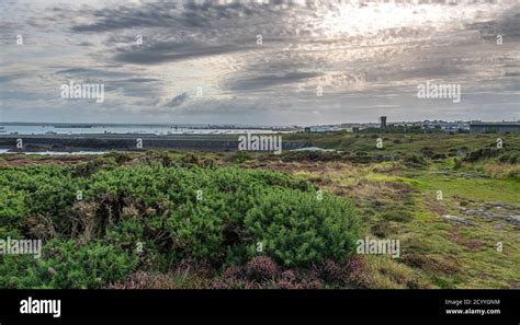 Breakwater Country Park, Holyhead, Anglesey Stock Photo - Alamy