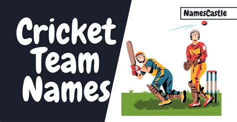 500+ Cricket Team Names Cool Unique Creative & Professioanl