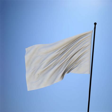 White Flag Blank Template - Imgflip