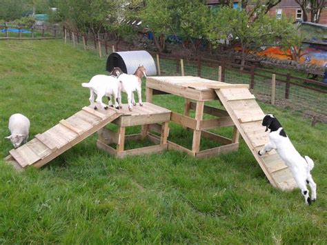 Climbing Structures Goat Playground Goat Playground Goat House