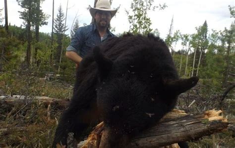 Black Bear Hunting In Canada For Non Residential Alphadog Outdoors