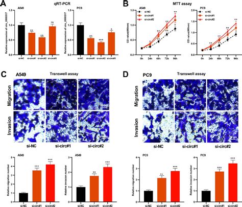 Scielo Brasil Circular Rna Hsacirc0000317 Inhibits Non Small Cell