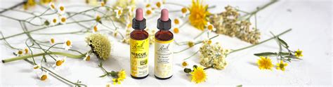 OFFICIAL Bach Flower Remedies | Shop Sales & Deals, Save Now