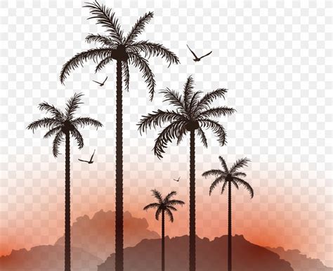 Euclidean Vector Illustration PNG 2605x2120px Sunset Arecaceae