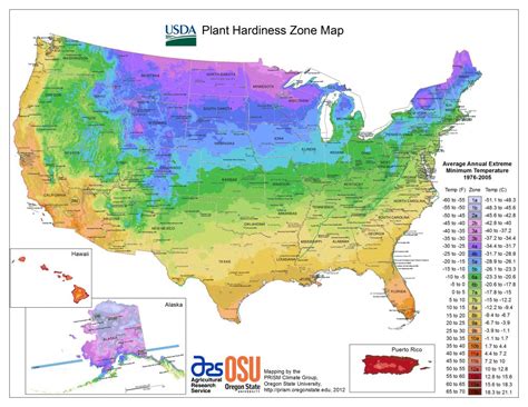 Usda Plant Hardiness Zone Map 2024 California - Hildy Latisha