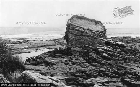 Photo Of Seaton Sluice Charlies Garden C1955