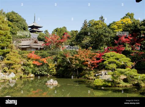 Japan, Kyoto, Ninna-ji Shinden, Japanese garden Stock Photo - Alamy