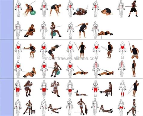 Chest Expander Workout Routine Pdf | EOUA Blog