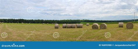 Hay Bale Field Farm Agriculture Rural Landscape Panoramic Meadow Stock