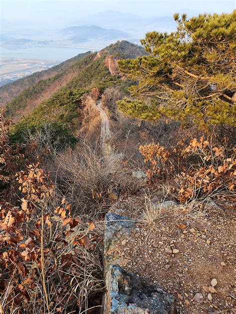 서울근교 등산 김포 문수산 등산로 문수산성 문수산산림욕장 네이트뷰