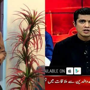 Iqrar Ul Hassan Biography Career And Personal Life