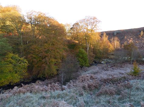 Our Countryside & Wildlife — Stop Calderdale Wind Farm