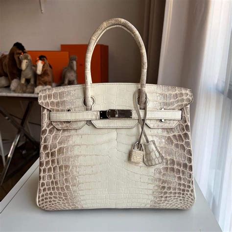 Himalayan Birkin 30 Luxury Bags And Wallets On Carousell
