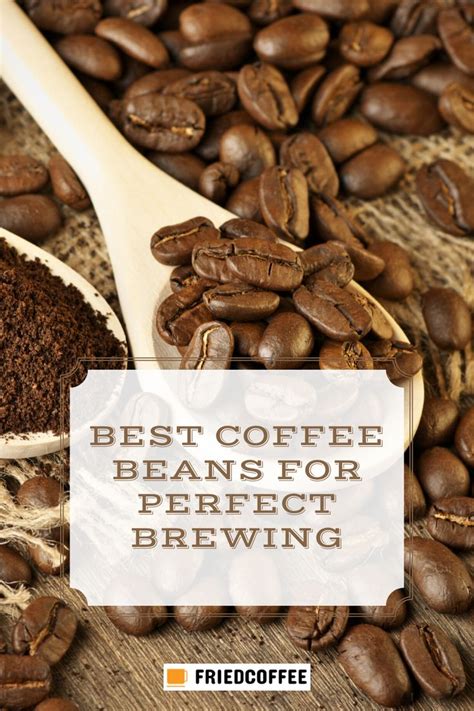 Best Coffee Beans For Perfect Brewing Buying Guide Friedcoffee