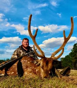 Cypress Ridge Hunting Preserve Exotics Hunts Photo Gallery