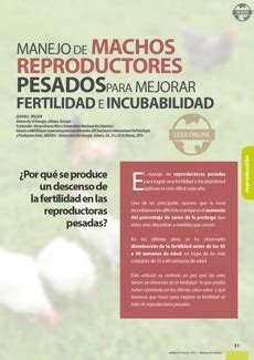 Manejo De Machos Reproductores Pesados Para Mejorar Fertilidad E