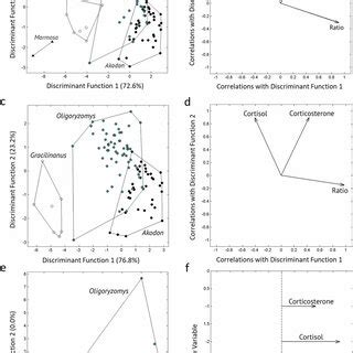 Discriminant Function Analysis Dfa Results For Log Transformed