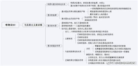 考研政治马哲太难？思维导图帮你搞定 思维导图 知识点 完整版 新浪新闻