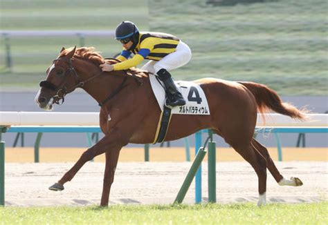 オルトパラティウム3馬身半差の圧勝！ルメール騎手「真面目に走ってくれた」／新馬戦 3歳馬特集 競馬 日刊スポーツ