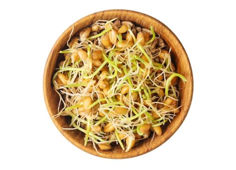 Premium Photo Whole Wheat Sprouts Germinated Wheat Seeds In Wooden