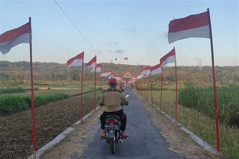 Berita Foto Ribuan Bendera Merah Putih Membelah Sawah Di Kulon Progo