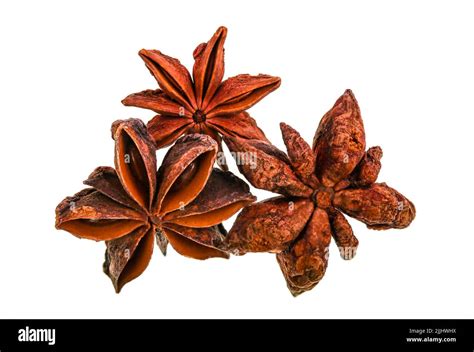 Star Anise Is The Fruit Of A Plant Called Illicium Verum An Evergreen