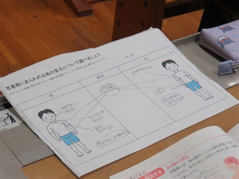 思春期に表れる体の変化は 下呂市教育研究所