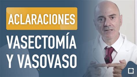 Qué Es Y Cómo Se Aplica La Vasectomía Y La Vasovasostomía O