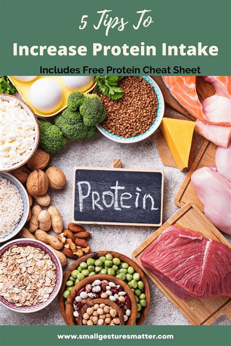 5 Easy Tips To Increase Protein Intake Small Gestures Matter