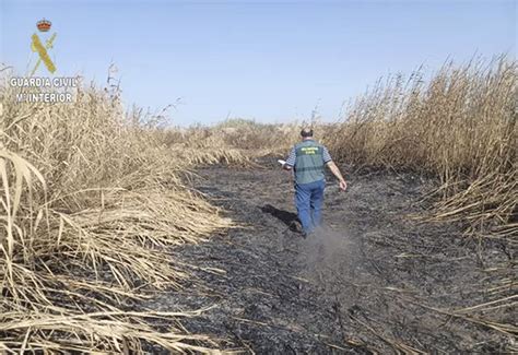 Investigado por incendiar 22 hectáreas en la Puebla del Río